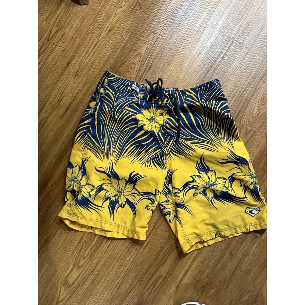 ONeill Boardshorts‎ Mens Size 32